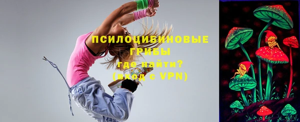 ешки Алексеевка
