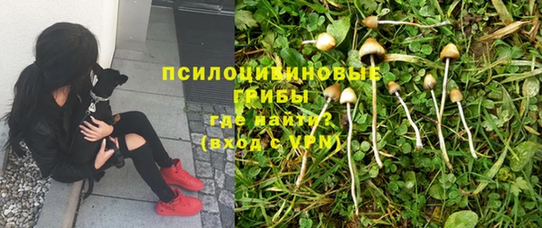 ешки Алексеевка