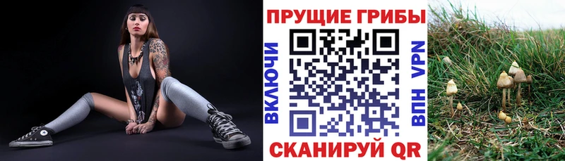 гидра онион  Артём  Псилоцибиновые грибы MAGIC MUSHROOMS 